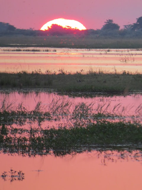 Light and Reflection - Sunset, Chobe, Botswana, May 2016