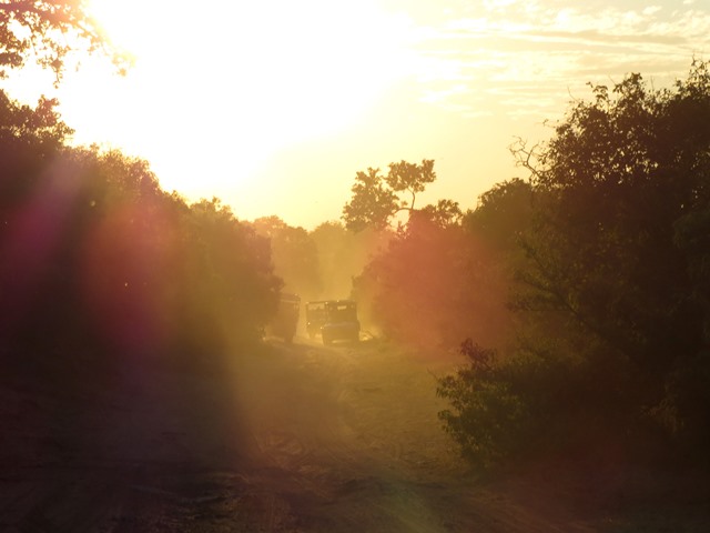 Light and Reflection - Safari vehicles, Chobe, Botswana, May 2016