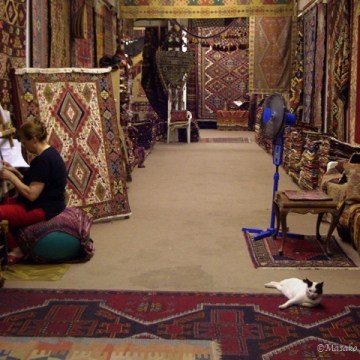 Cat in carpet shop, Selçuk, Turkey 2008