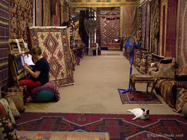 Cat in carpet shop, Selçuk, Turkey 2008