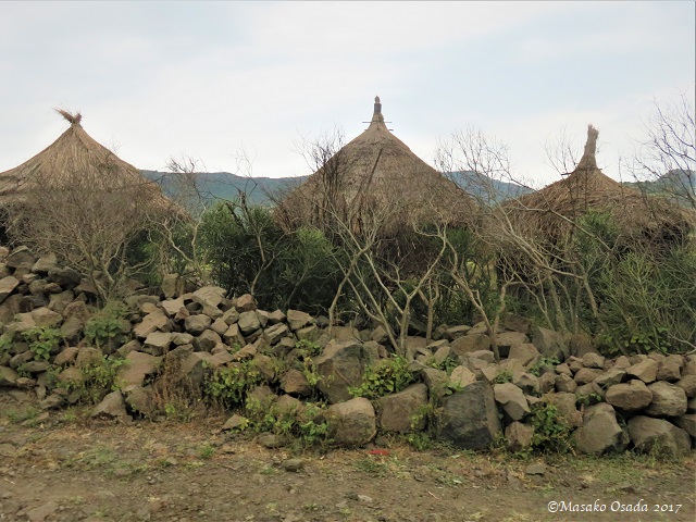 Three houses with thatched-roof