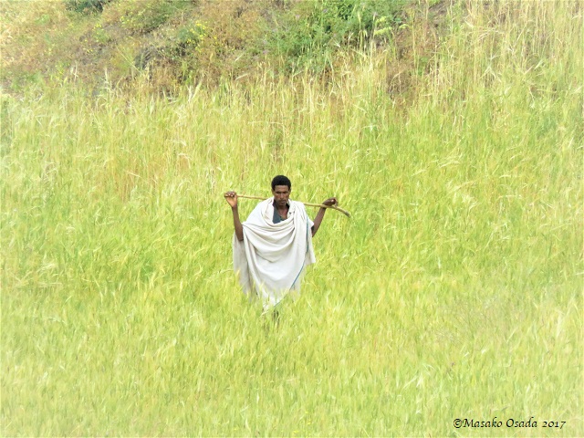 Man walking in the field