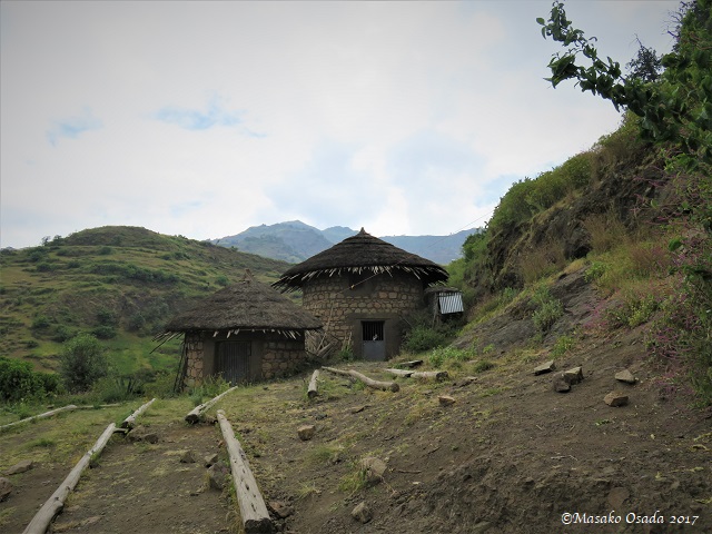 Thatch-roofed house