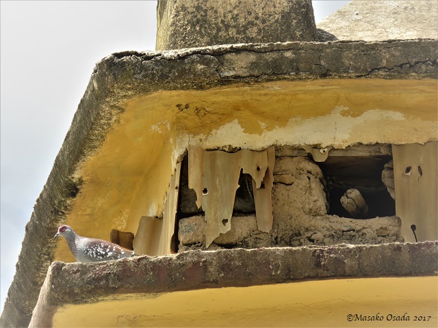 Pigeon house