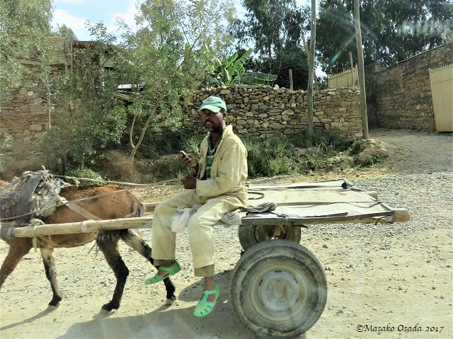Man checking messages
