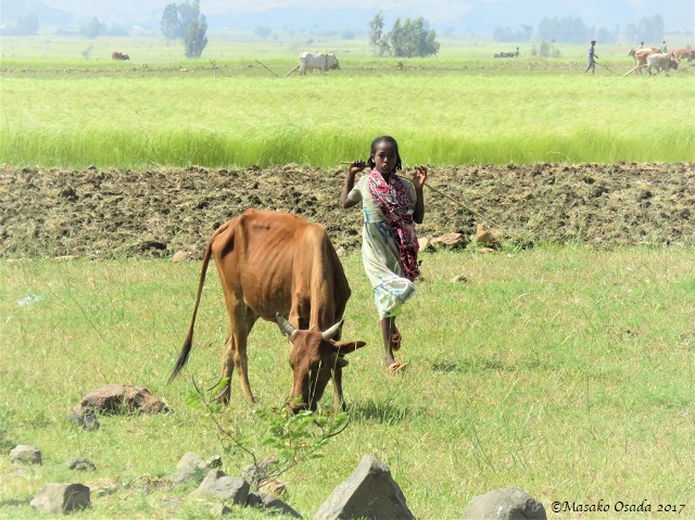 Girl and skinny calf