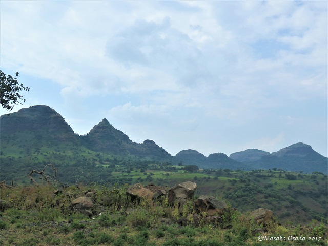 On the way from Shire to Debark