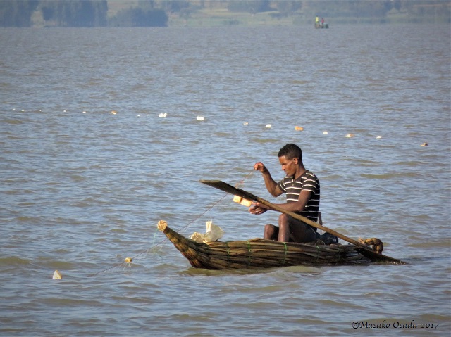 Fishing in papyrus boat