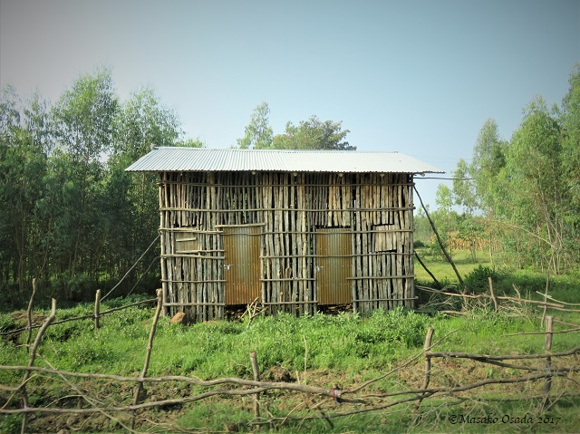 On the way from Bahir Dar to Blue Nile Falls
