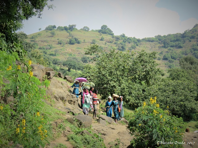 Walk from Tis Abay Town to Blue Nile Falls