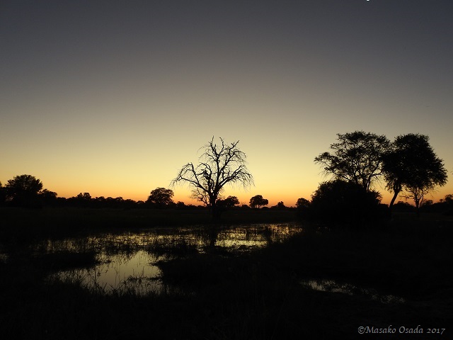 Sunset, Khwai, Botswana, April 2017