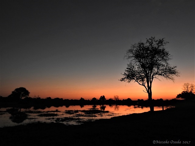 Sunset, Khwai, Botswana, June 2017