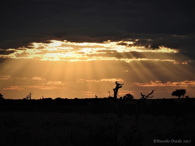 Sunset, Savuti, Boswana, June 2017