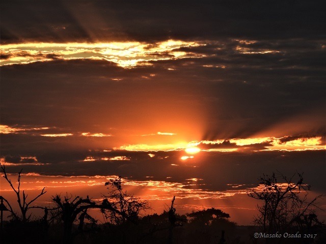 Sunset, Chobe, Botswana, June 2017