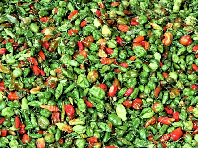 Chillies, Bong, Liberia, April 2017