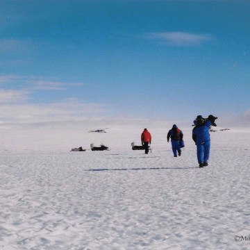 Cameraman at work, Antarctica