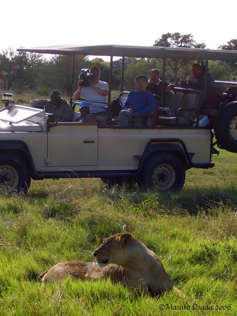 Cameraman at work, Okavango Delta, Botswana