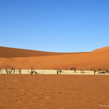 Deadvlei, Namibia, April 2018