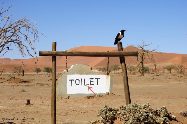 Toilet sign near Sossuvlei, Namibia, April 2018