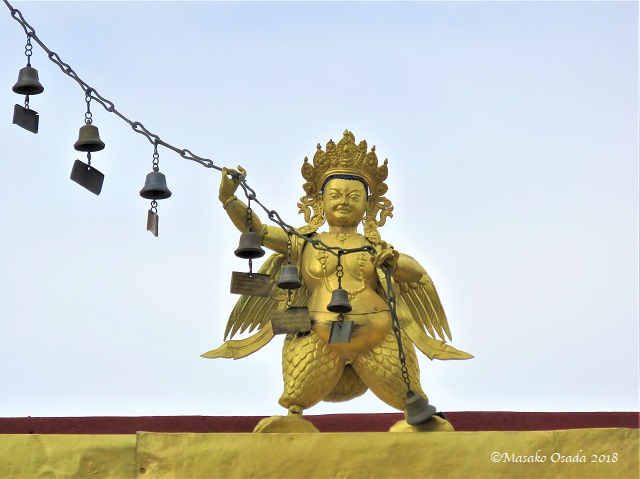 Miamchi on roof top. Jokhang Temple, Lhasa, Tibet, September 2018