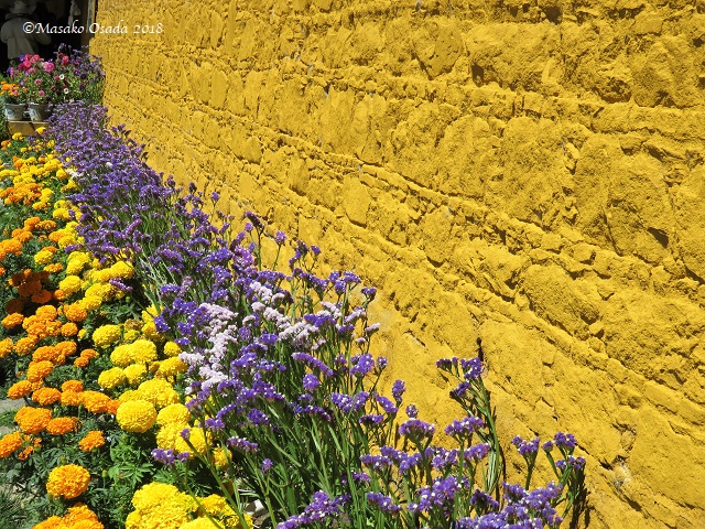 Walls and flowers. Norbulinka Palace, Lhasa, Tibet, September 2018