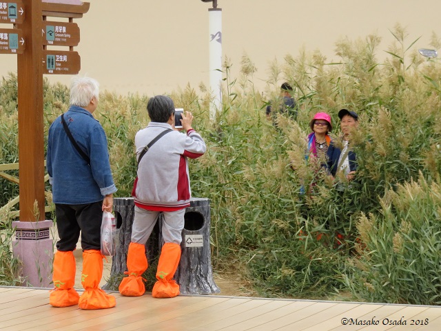 Photo time. Mingsha Mountain Crescent Spring Resort, Dunhuang, Gansu, September 2018