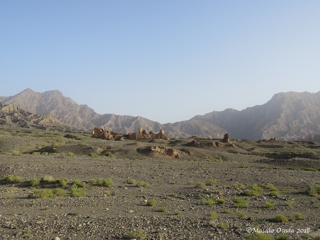 Subashi Gucheng Ruins, Kuche, Xinjiang, September 2018