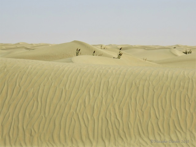 Crossing Taklamakan Desert. Between Aksu adn Khotan, Xinjiang, September 2018