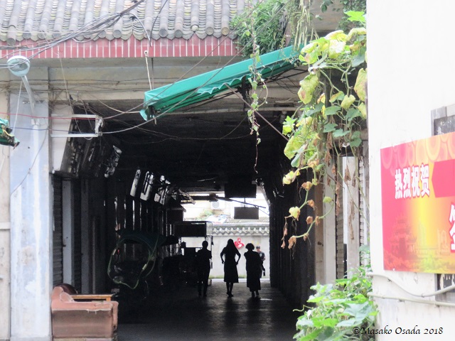 Silhouettes. Dujiangyan, Sichuan, September 2018