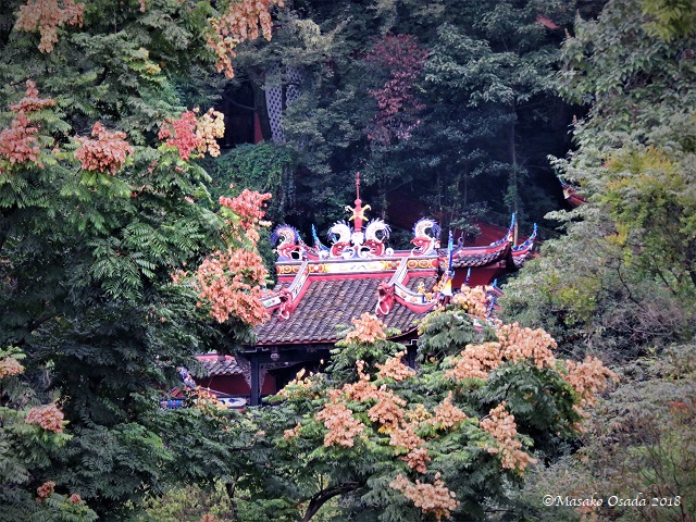 Temple in forest. Dujiangyan, Sichuan, September 2018