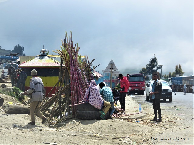 Sugar cane seller. Tarmaber, Ethiopia, November 2018