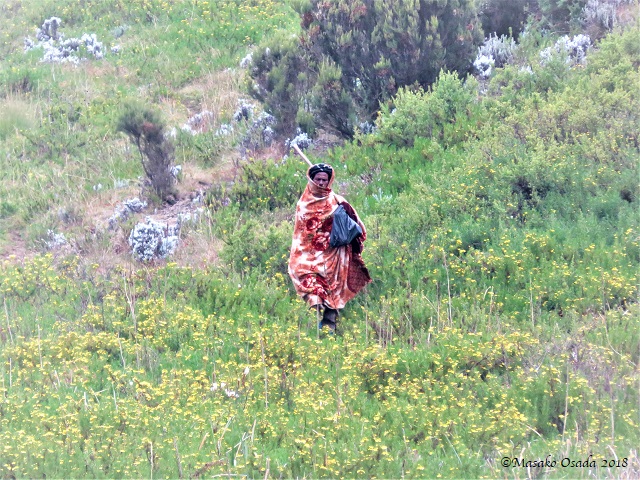 Caretaker. Guassa Community Lodge, GCCA, Ethiopia, November 2018