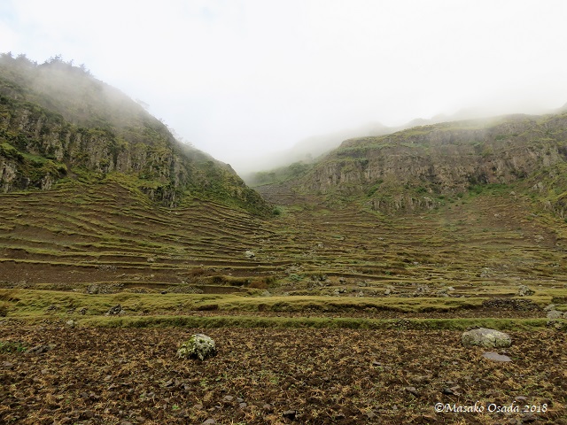 Terraced fields. Egora village, GCCA, Ethiopia, November 2018