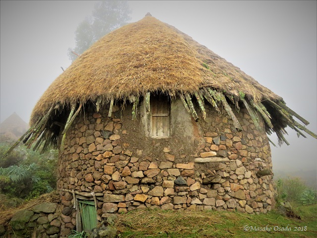 Old house thached with Guassa grass. Egora village, GCCA, Ethiopia, November 2018