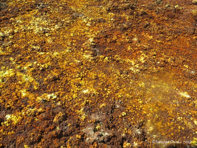 Dallol, Ethiopia, January 2019