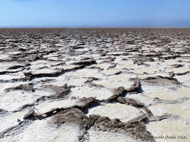 Salt flats, Dallol, Ethiopia, January 2019
