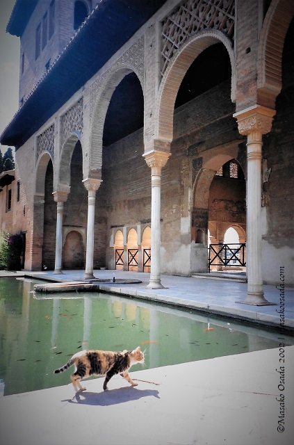 02-06-05 Generalife, Granada