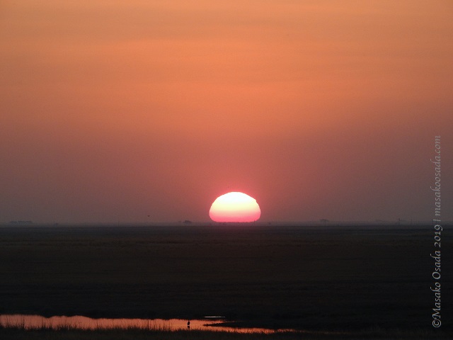 Sunset over river, Chobe, Botswana, August 2019