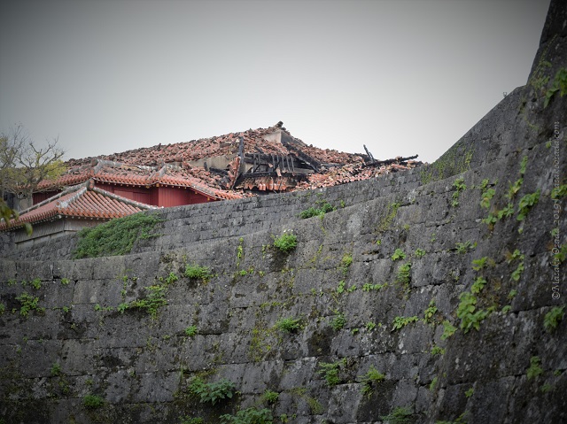 Ruined roof of Shuri Castle, Naha, Okinawa, November 2019