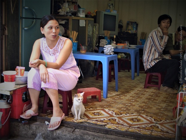 Welcome cat, Hanoi, Vietnam 2005