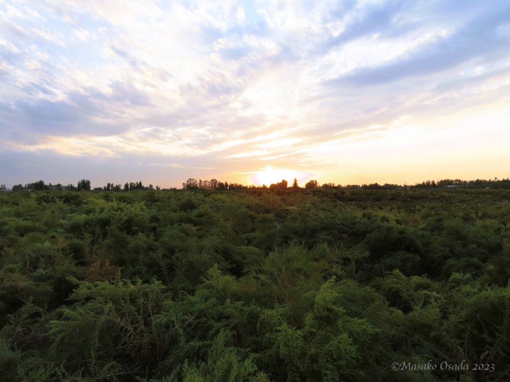 Sunset. Kuva, Uzbekistan