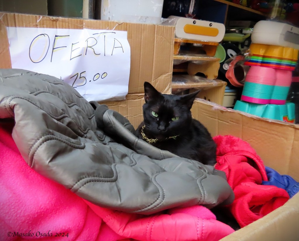 "Special offer, 25 soles". Lima