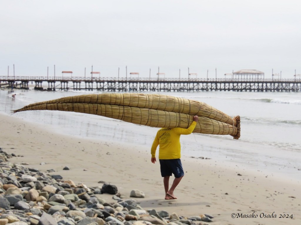 Fisherman carrying a caballito de totora. Huanchaco