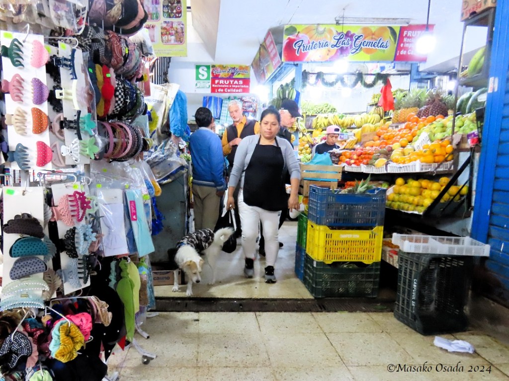 "This is all mine!" Mercado Central, Trujillo