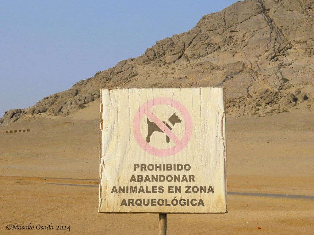 "It is forbidden to abandon animals in the archaeological site". Huaca de la Luna