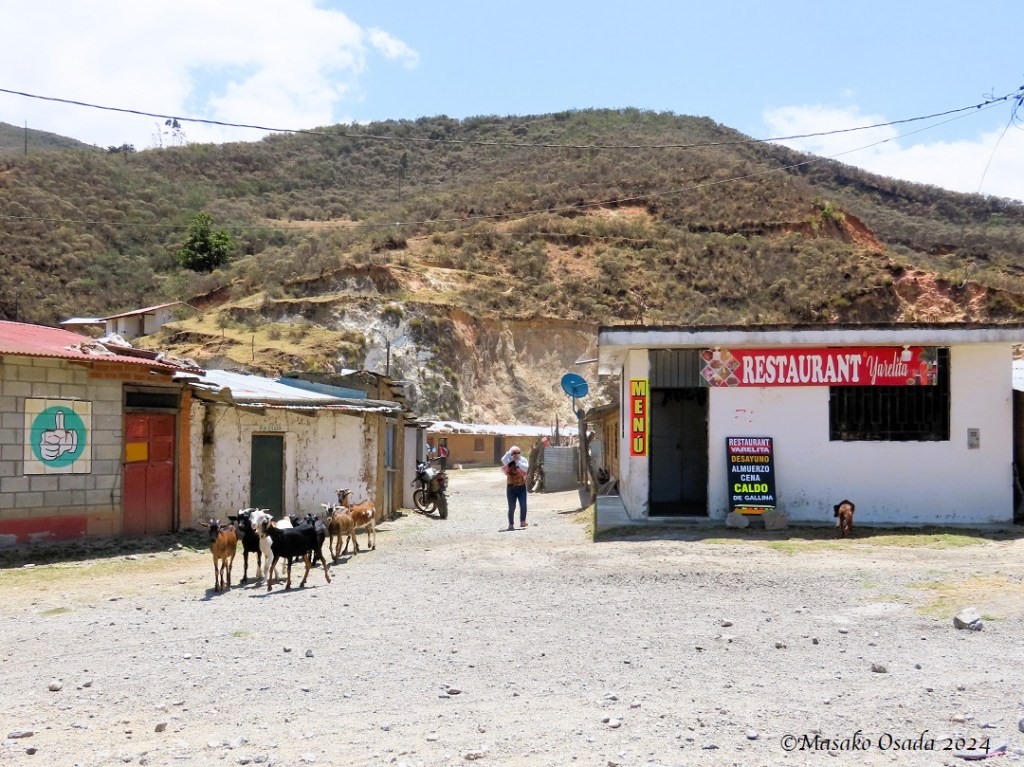 Restaurant in the middle of nowhere. Somewhere between Chiclayo and Chachapoyas