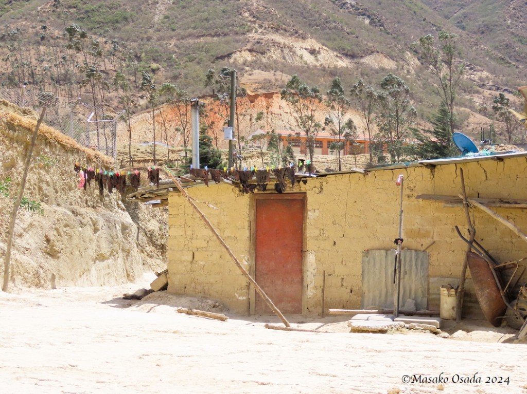 Meat on the washing line. Somewhere between Chiclayo and Chachapoyas