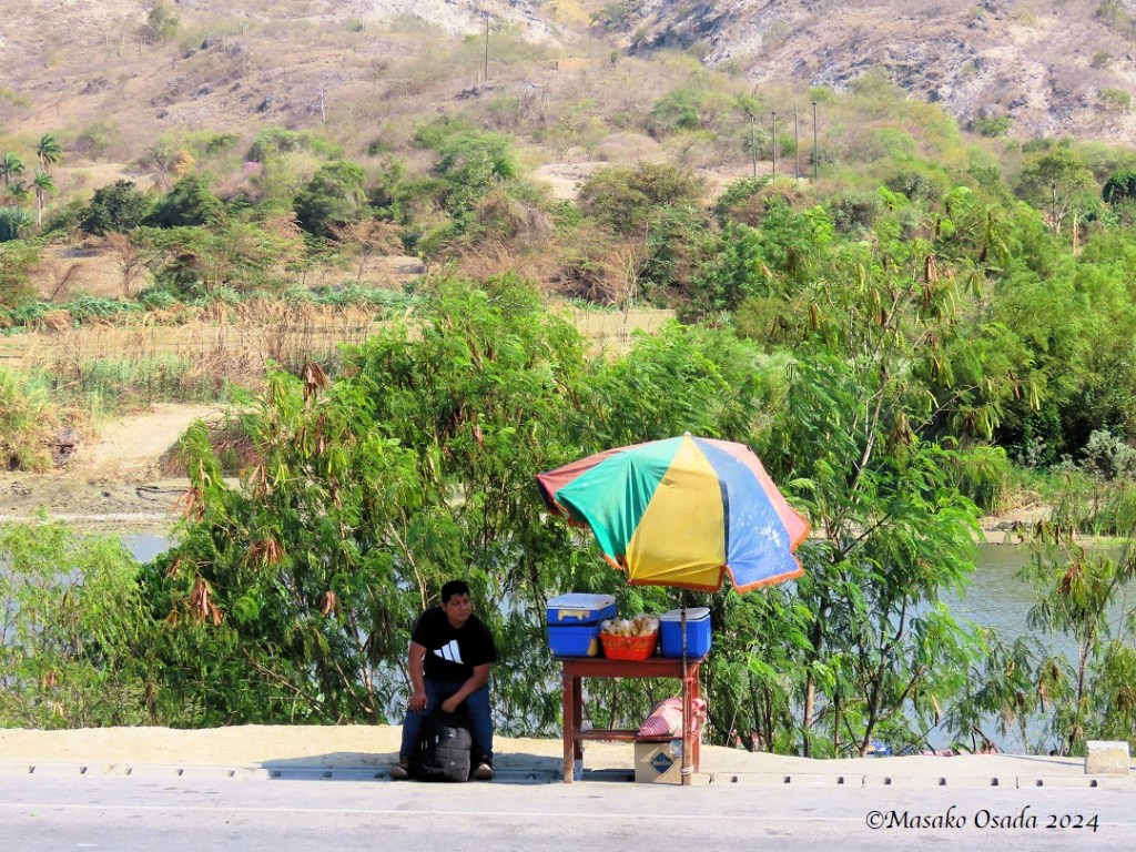 Roadside vendor. Somewhere between Chiclayo and Chachapoyas