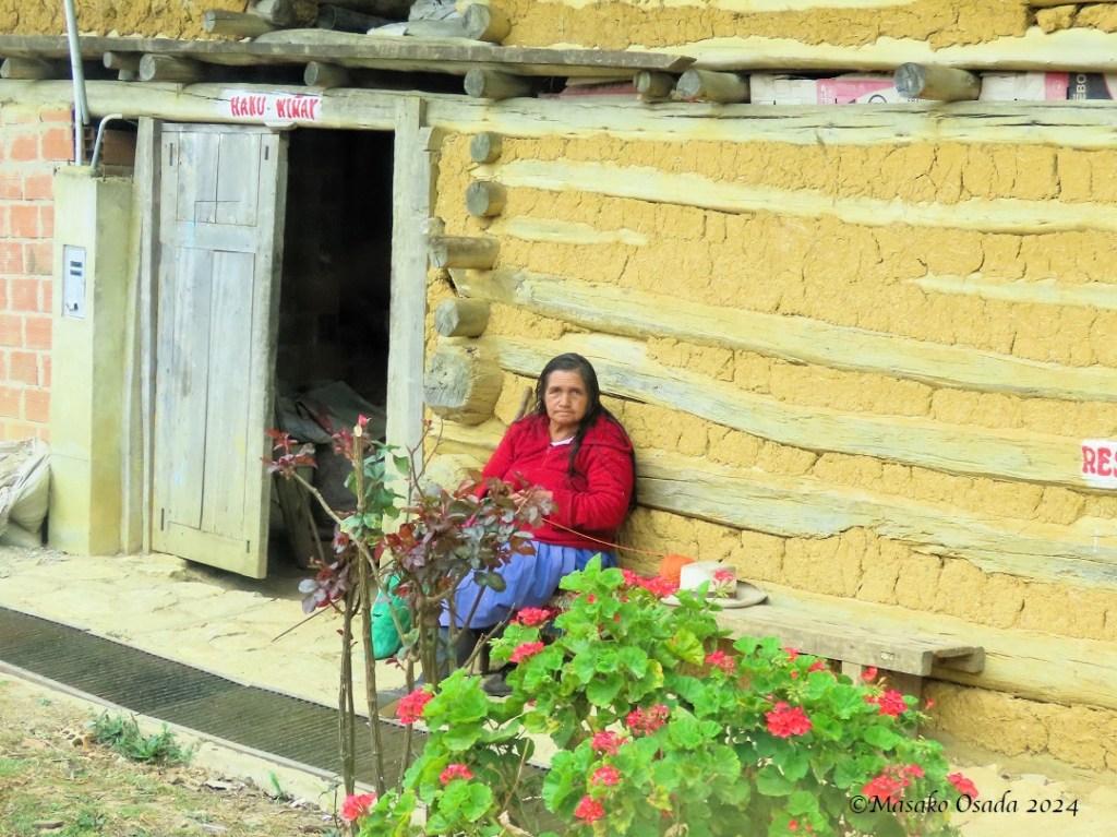 Old lady knitting. San Bartolo village