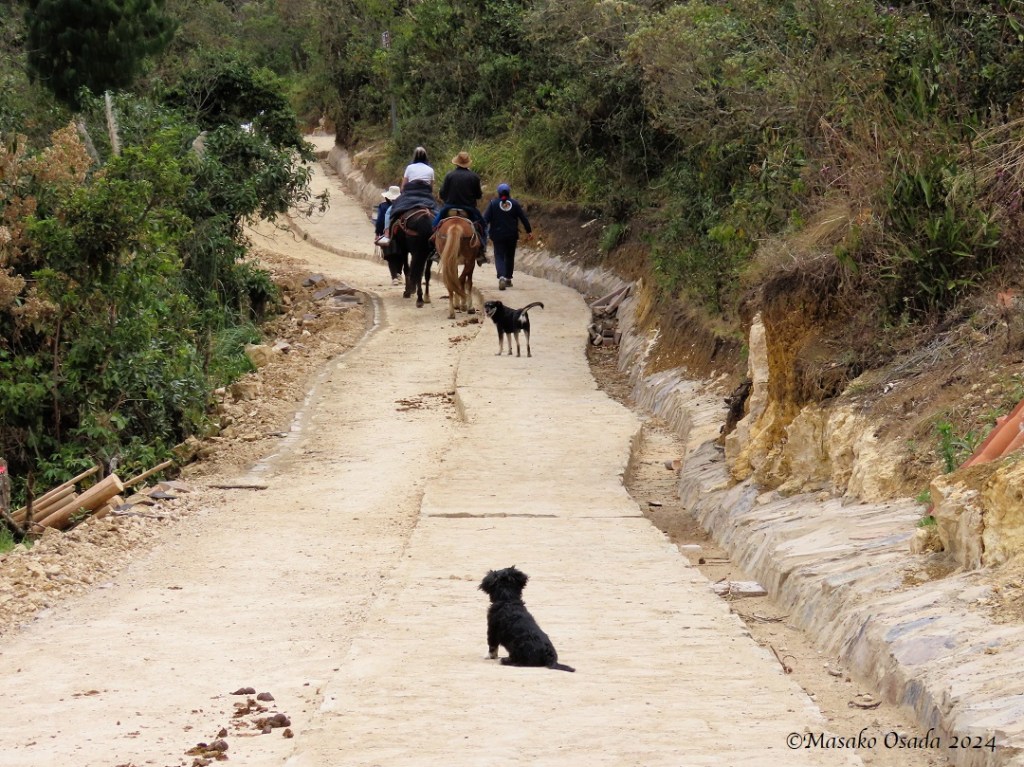 "Are you coming?" Kuélap